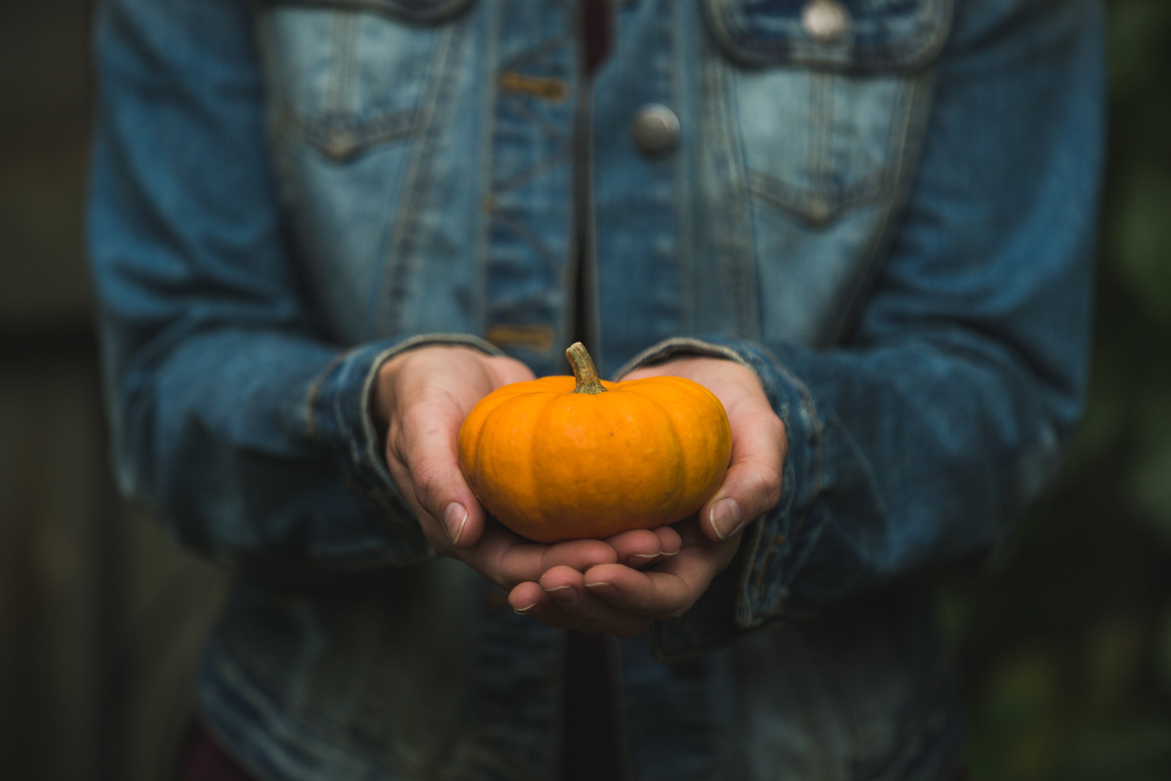 hands-holding-tiny-pumpkin.jpg