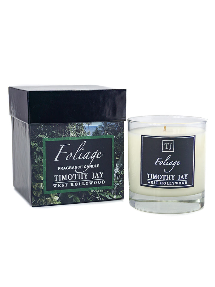 Foliage Green Fragrance Candle